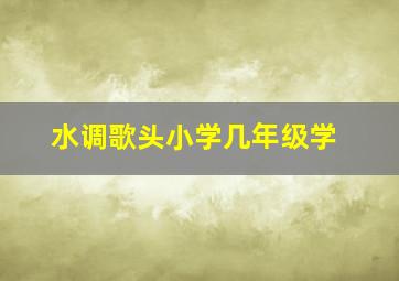 水调歌头小学几年级学