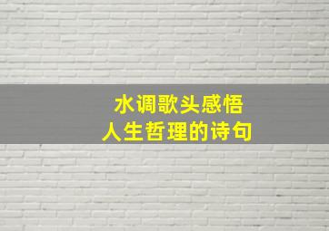 水调歌头感悟人生哲理的诗句