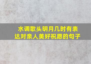 水调歌头明月几时有表达对亲人美好祝愿的句子