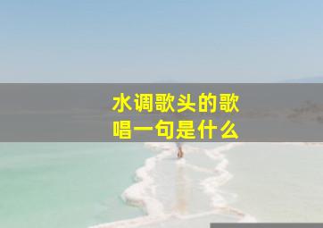 水调歌头的歌唱一句是什么