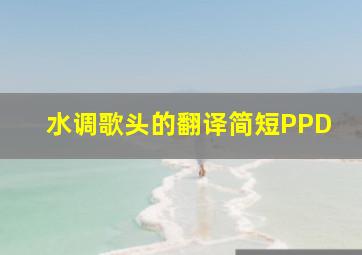 水调歌头的翻译简短PPD