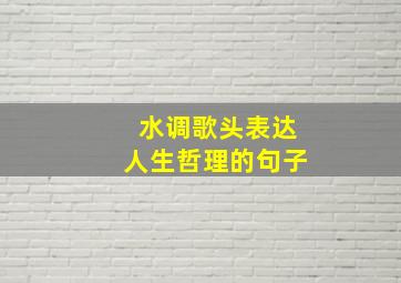 水调歌头表达人生哲理的句子