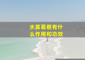 水雾葛根有什么作用和功效