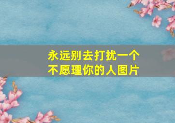 永远别去打扰一个不愿理你的人图片