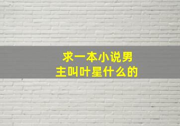 求一本小说男主叫叶星什么的