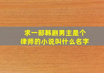 求一部韩剧男主是个律师的小说叫什么名字