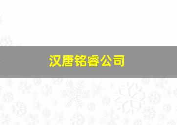 汉唐铭睿公司