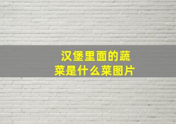 汉堡里面的蔬菜是什么菜图片