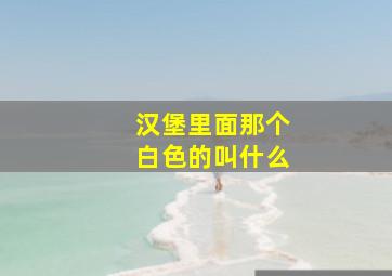 汉堡里面那个白色的叫什么