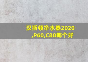 汉斯顿净水器2020,P60,C80哪个好