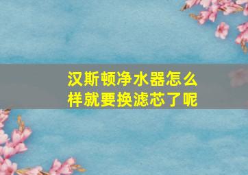 汉斯顿净水器怎么样就要换滤芯了呢