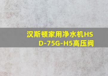 汉斯顿家用净水机HSD-75G-H5高压阀