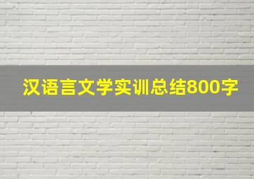 汉语言文学实训总结800字