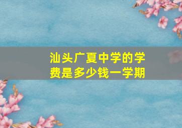 汕头广夏中学的学费是多少钱一学期