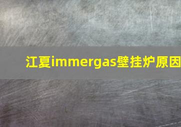 江夏immergas壁挂炉原因