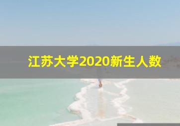 江苏大学2020新生人数