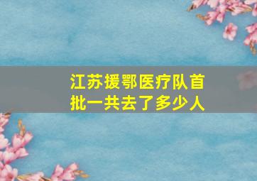 江苏援鄂医疗队首批一共去了多少人