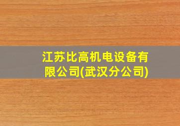 江苏比高机电设备有限公司(武汉分公司)