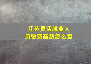 江苏灵活就业人员缴费基数怎么查