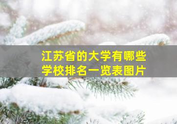 江苏省的大学有哪些学校排名一览表图片