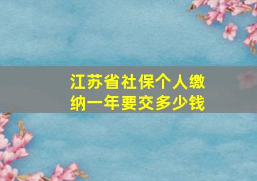 江苏省社保个人缴纳一年要交多少钱