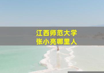 江西师范大学张小亮哪里人