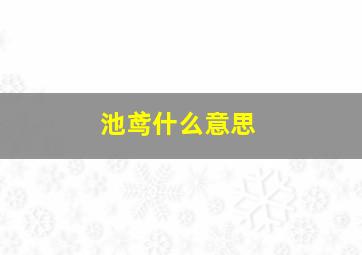 池鸢什么意思