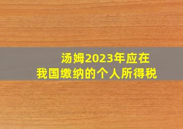 汤姆2023年应在我国缴纳的个人所得税