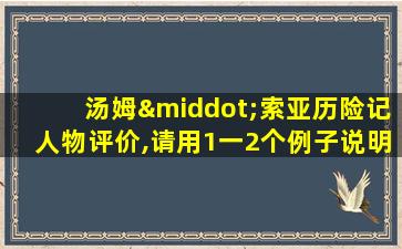 汤姆·索亚历险记人物评价,请用1一2个例子说明