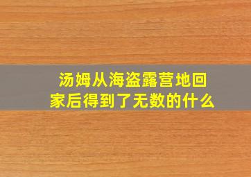 汤姆从海盗露营地回家后得到了无数的什么