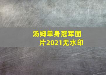 汤姆单身冠军图片2021无水印