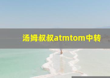 汤姆叔叔atmtom中转