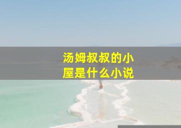 汤姆叔叔的小屋是什么小说