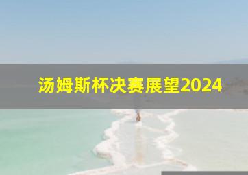 汤姆斯杯决赛展望2024