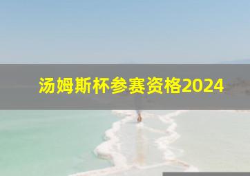 汤姆斯杯参赛资格2024