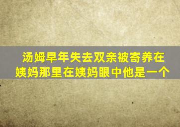 汤姆早年失去双亲被寄养在姨妈那里在姨妈眼中他是一个