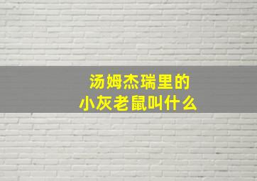 汤姆杰瑞里的小灰老鼠叫什么