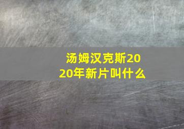 汤姆汉克斯2020年新片叫什么