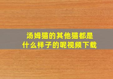 汤姆猫的其他猫都是什么样子的呢视频下载