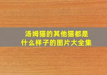 汤姆猫的其他猫都是什么样子的图片大全集