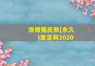 汤姆猫皮肤(永久)激活码2020