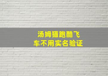 汤姆猫跑酷飞车不用实名验证