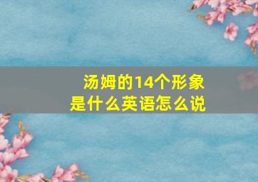 汤姆的14个形象是什么英语怎么说