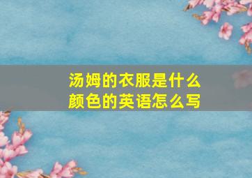 汤姆的衣服是什么颜色的英语怎么写