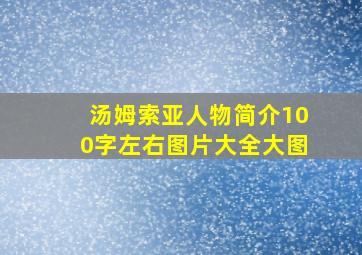 汤姆索亚人物简介100字左右图片大全大图