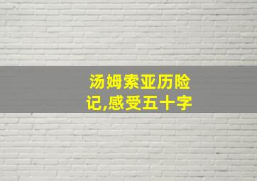 汤姆索亚历险记,感受五十字