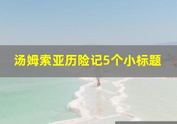 汤姆索亚历险记5个小标题