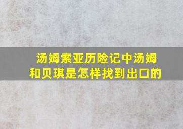 汤姆索亚历险记中汤姆和贝琪是怎样找到出口的