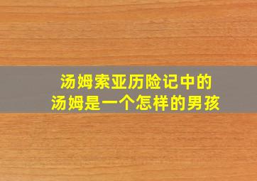 汤姆索亚历险记中的汤姆是一个怎样的男孩