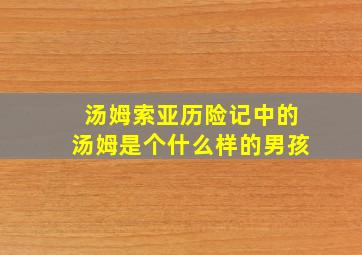 汤姆索亚历险记中的汤姆是个什么样的男孩